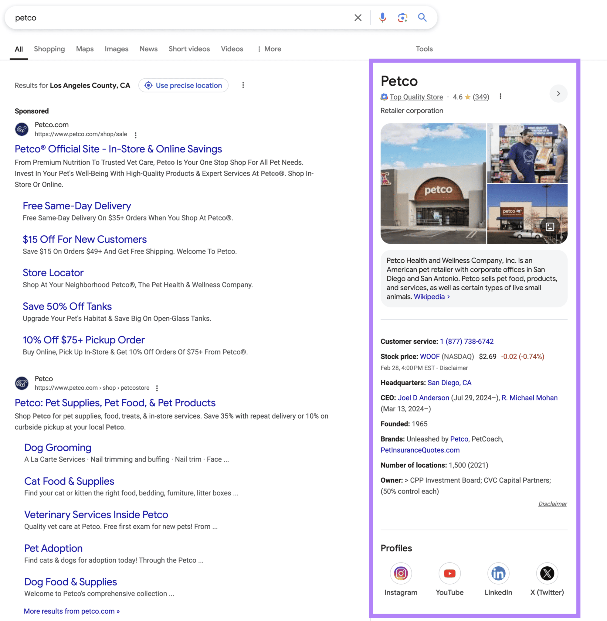 Knowledge Panel appears when searching for a company name.