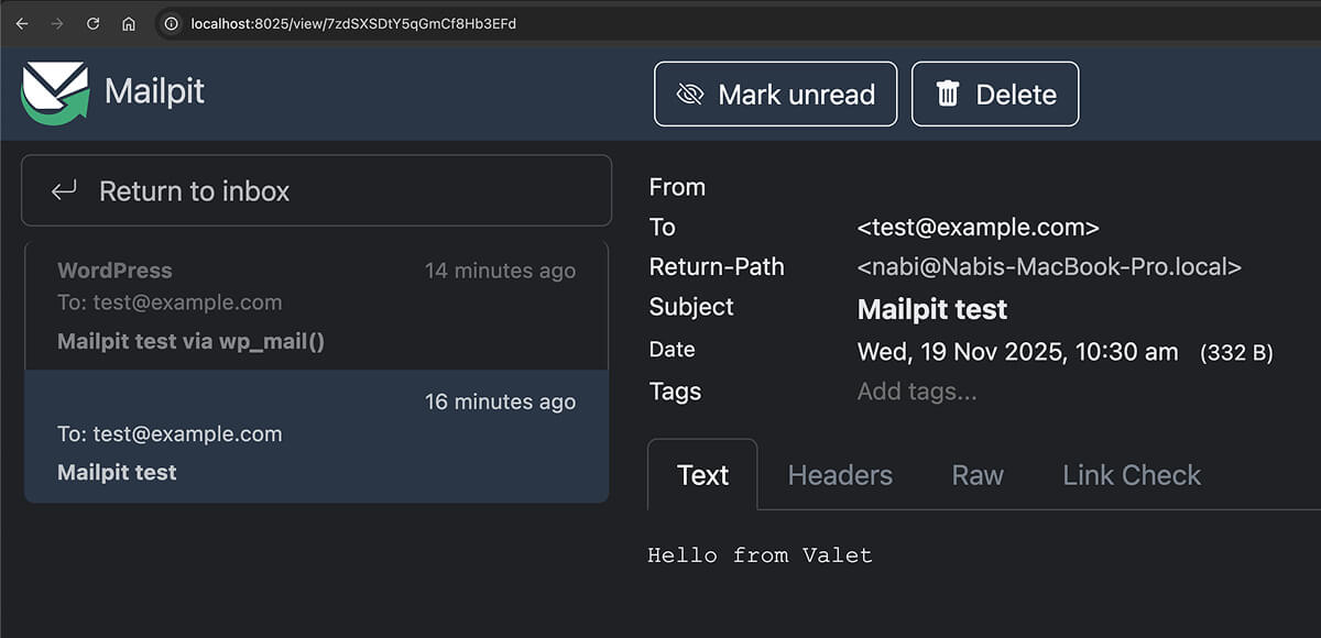 Test the Mailpit with Raw PHP call