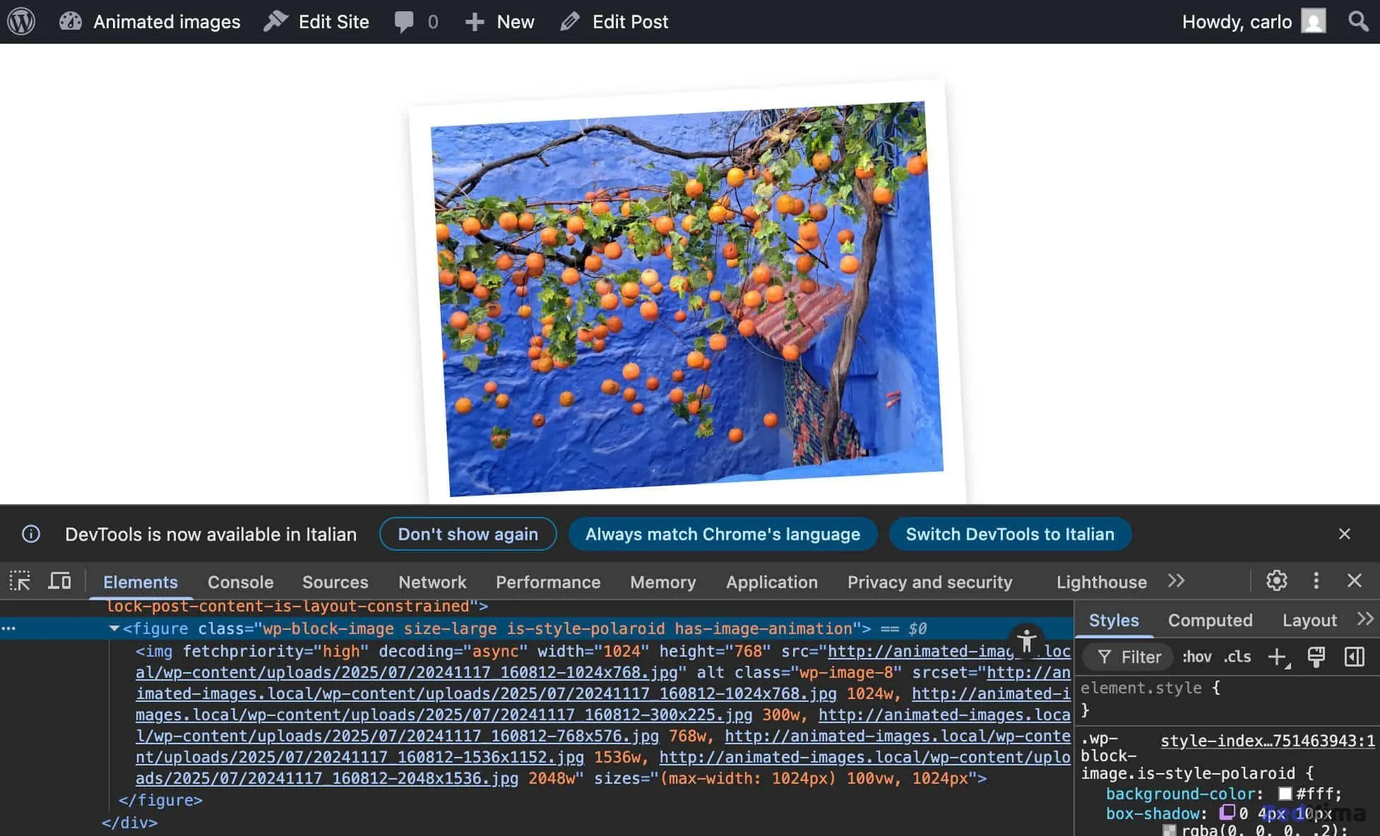 is_style_polaroid and has_image_animation CSS classes added to the Image block