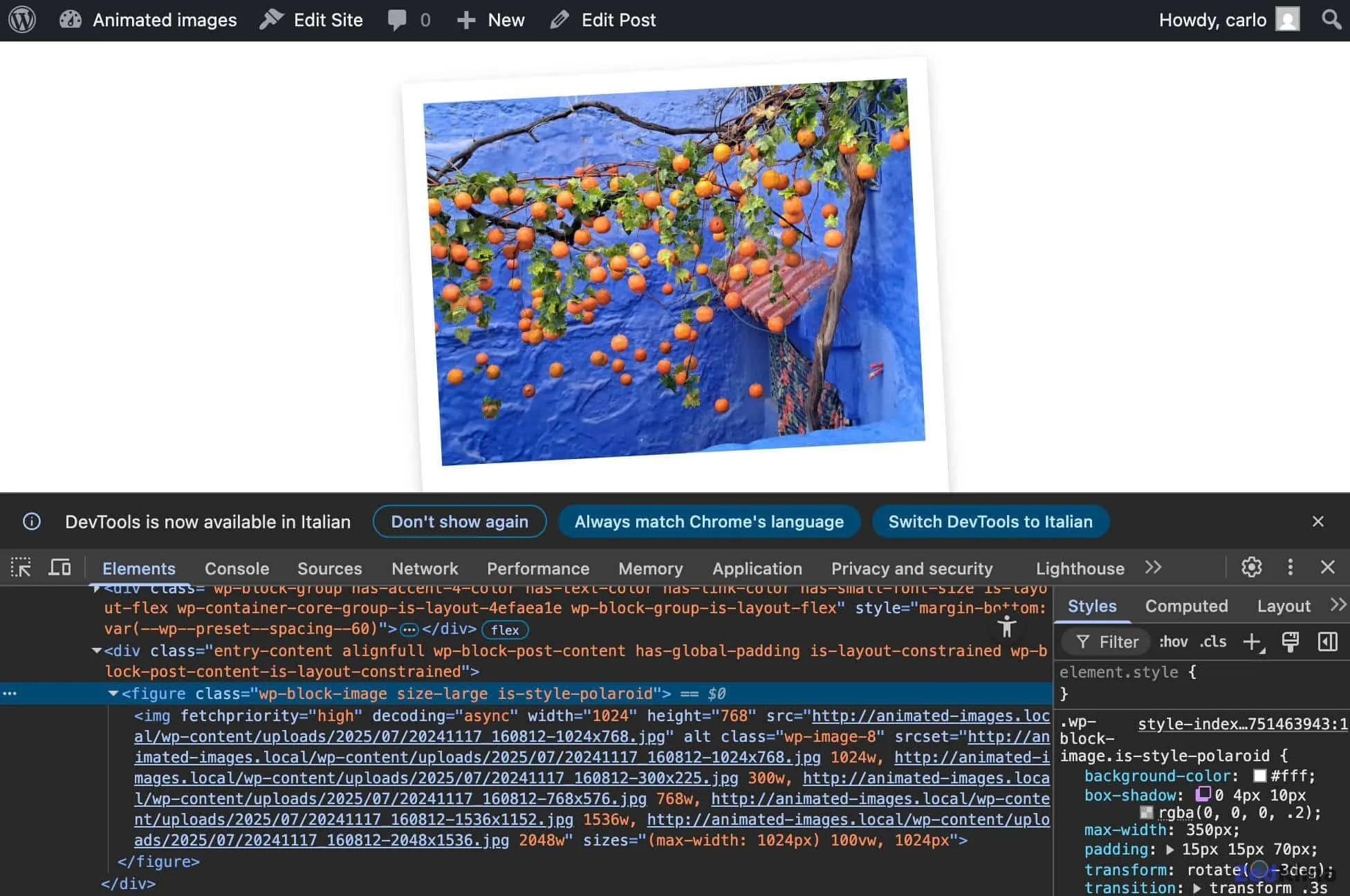 The figure element with the is_style_polaroid class